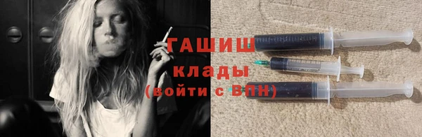 прущие грибы Дмитровск