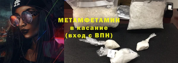 прущие грибы Дмитровск