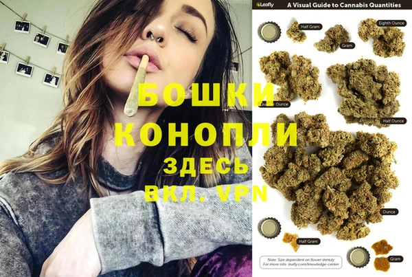 стаф Дмитров