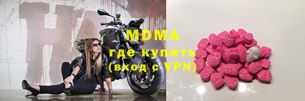 прущие грибы Дмитровск