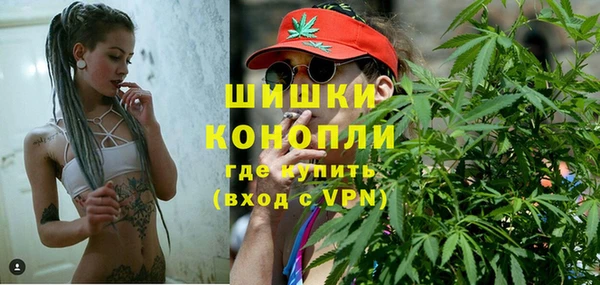 стаф Дмитров