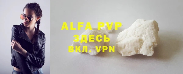 стаф Дмитров
