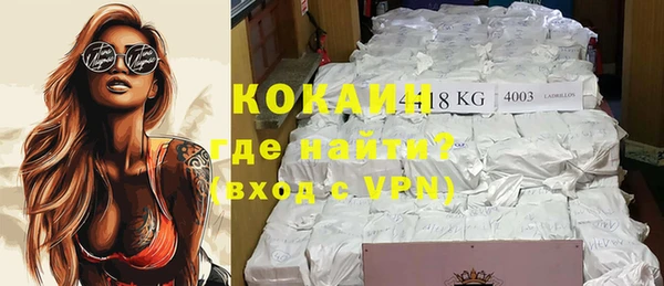 стаф Дмитров