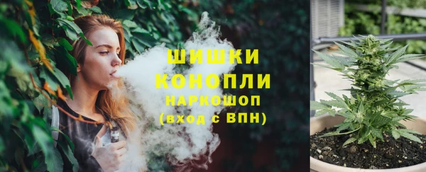 прущие грибы Дмитровск