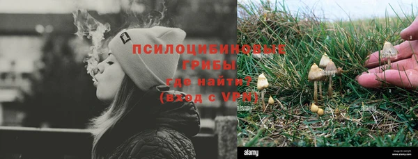 стаф Дмитров