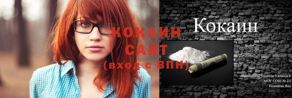 стаф Дмитров