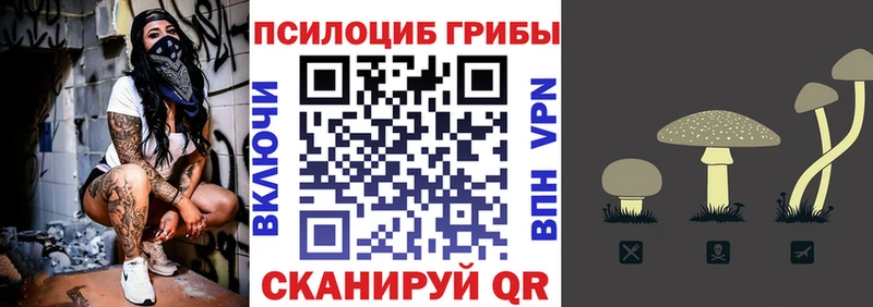 Купить закладки  Остров  Галлюциногенные грибы мухоморы 